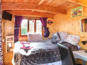 Packhorse Shepherds Hut