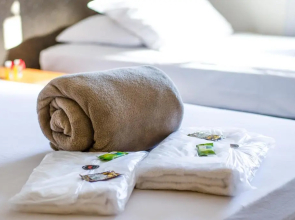 Pousada Vale dos Tamanduás