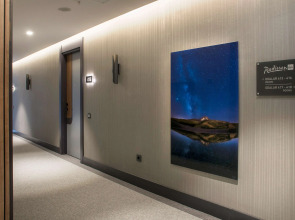 Radisson Blu Hotel, Ankara