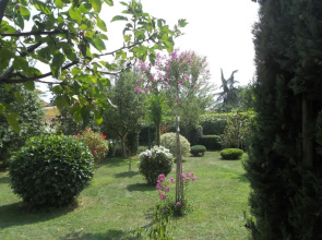 Il Frutteto