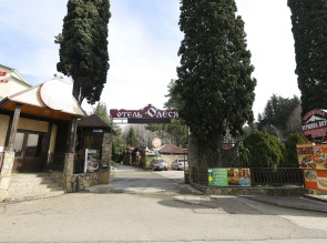 Отель Олеся