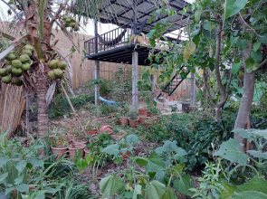 Thong Family Homestay Chiengdao