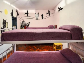 Malbec Plaza Hostel