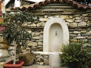 Zhivka House