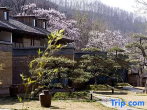 Wangwu Mountain Xiaoyoudian Mountain Residence Homestay