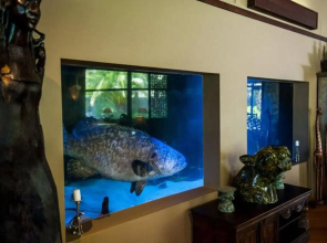 Jamala Wildlife Lodge