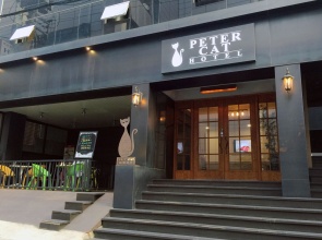 Petercat Sinchon Hongdae