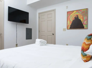 Chic West Campus Apts by WanderJaunt