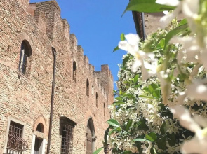 Palazzo Stiozzi Ridolfi