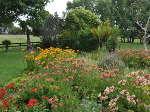 Jacaranda Lodge