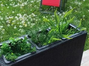 Green House