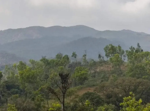 Jade Hills Coorg