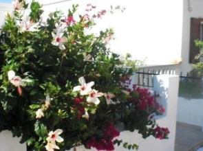 Aparthotel 3 Stars Andros
