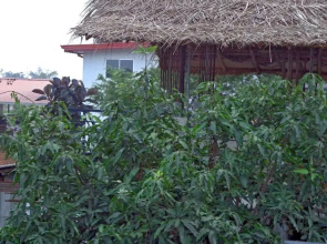 Rajarata Reach Resort