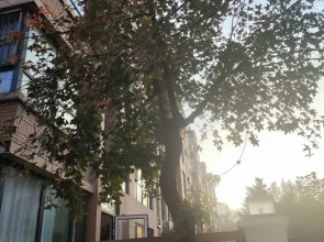 Shenyang'an Residence