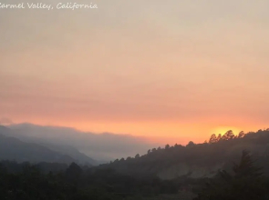 The Nest in Carmel Valley