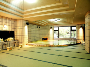 Hotel Parens Onoya