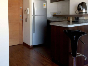 Santiago Furnished Apartments