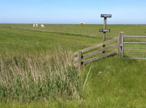 Vakantiehuis Ferwert