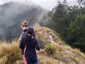 Munnar Jungle Camp