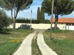 Il Mandorlo
