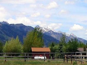 The Sassy Moose Inn
