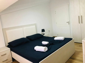 Green house, 2 bedrooms & 1 kitchen apartment, located in Elbasan city center