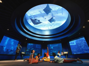 Resorts World Sentosa - Equarius Hotel