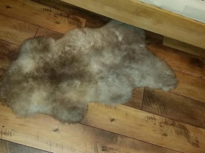 Zimmer im Lungau