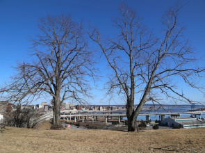 B&B Homeport Historic c1858
