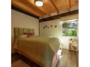 Luxury Chalet - Cabin in the Woods @Valle de Bravo 1
