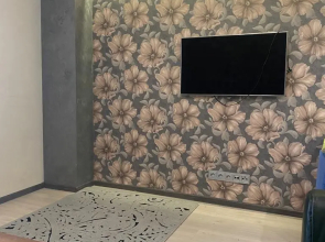 Apartamenty na pereulke Popovicha