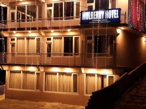 Mulberry Hotel