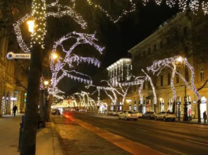 Wonder Deer Lux Apt Opera