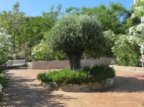 Oasis de La Cala