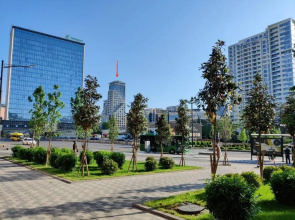 Tbilisi App 3