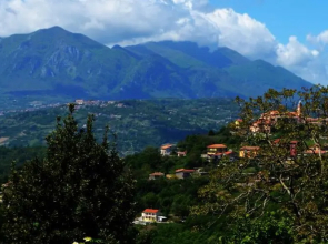 L'Agrifoglio