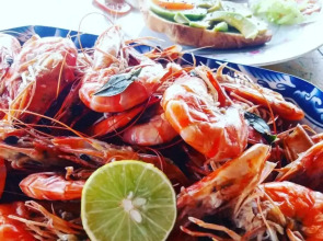 Malika's Yellow House