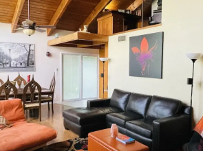 Treehouse Apartment Rentals