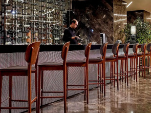 Pullman Istanbul Airport and Convention Center Hotel