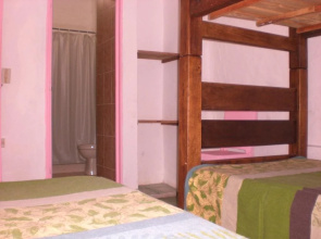 Color de Hormiga Hostel