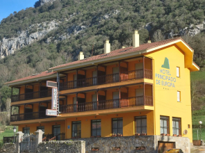 Hotel Principado de Europa