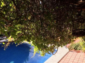 Casa del Guamuchil