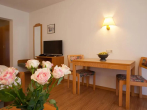 Rustikales Apartment 35qm mit Balkon Nähe Freiburg