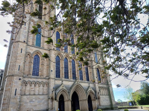 Central Ripon - Sleeps 3 - Garden - Pet Friendly