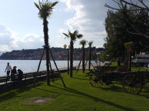 Apartments Exclusive