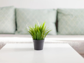 RentPlaza (РентПлаза) на 5-ой просеке 133