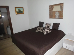 Luxury Central apartment in Sibiu