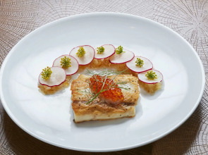 Hilton Chicago O'Hare Airport