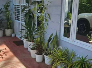 Meek'S Villas Transient House